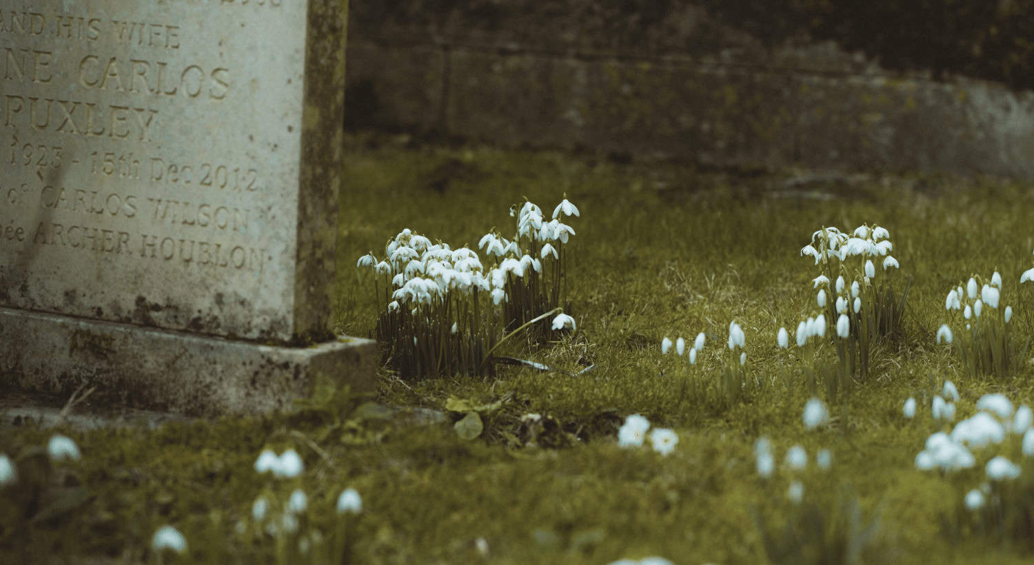 The Day That Death Died